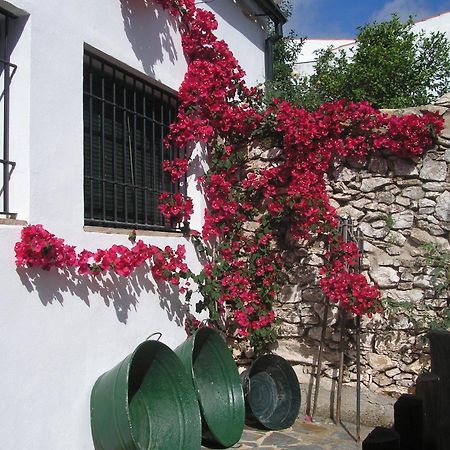 Casa Rural Y Restaurante Casa Adriano Pensionat Alanís Eksteriør billede